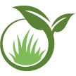 Lansdale Lawn Clean Up