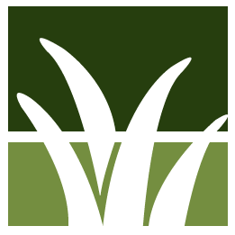 Lansdale Lawn Clean Up