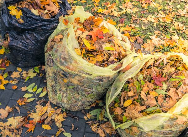 Cost of Yard Cleanup Service in Lansdale