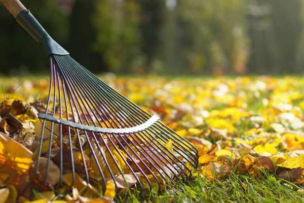 Cost of Leaf Raking Service in Lansdale