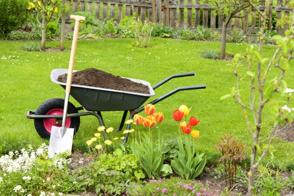 Cost of Spring Yard Cleanup in Lansdale