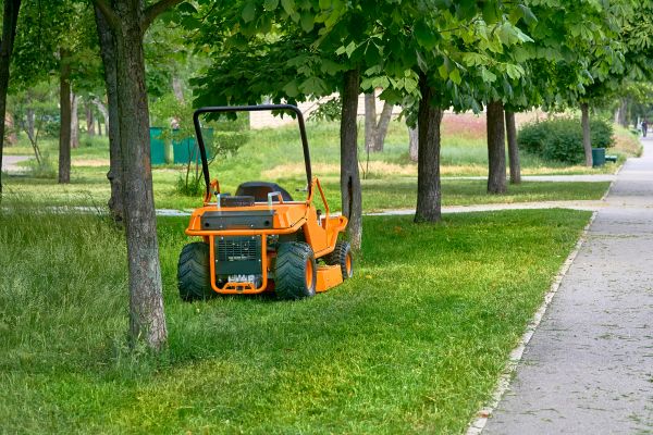 Cost of Landscaping Cleanup Service in Lansdale