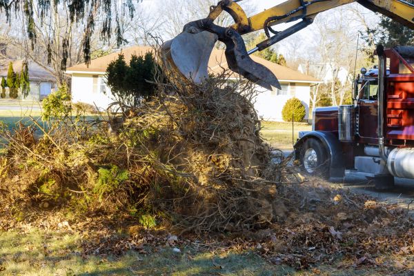 Cost of Storm Debris Removal in Lansdale