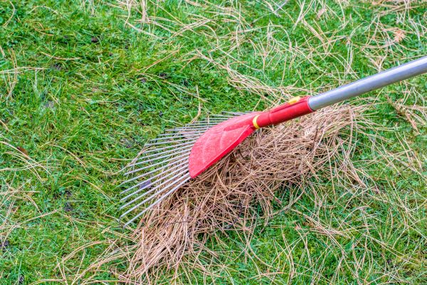 Cost of Yard Raking in Lansdale