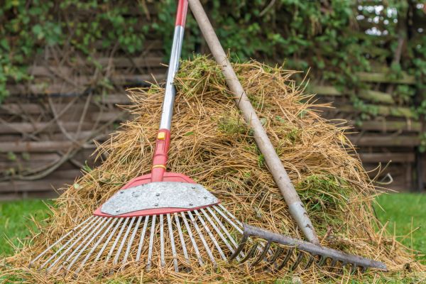 Cost of Pine Straw Clearing in Lansdale