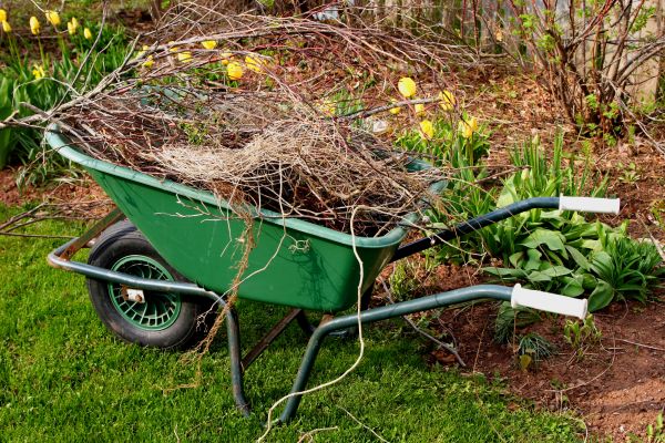 Cost of Lawn Waste Removal in Lansdale