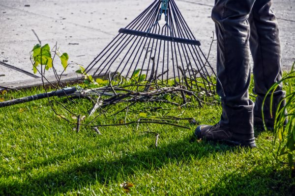 Cost of Yard Debris Cleanup in Lansdale