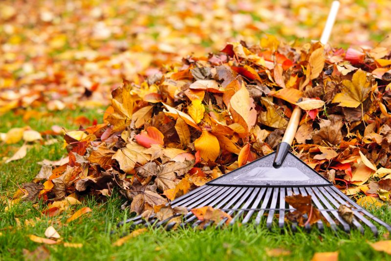 Autumn Lawn Care