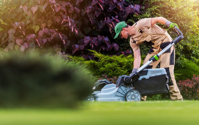 Local Lawn Care Specialists